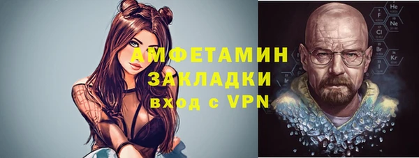 индика Переславль-Залесский