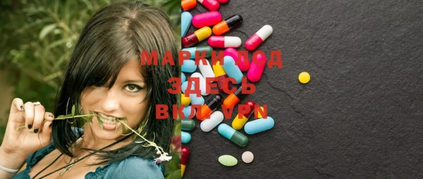 индика Переславль-Залесский