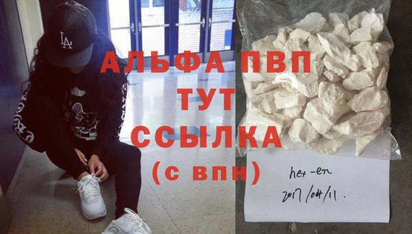 индика Переславль-Залесский