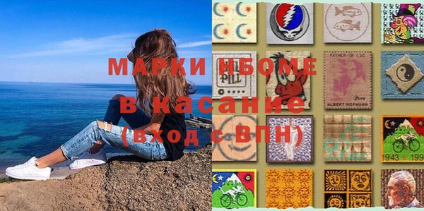 индика Переславль-Залесский