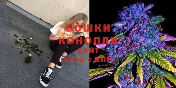 индика Переславль-Залесский