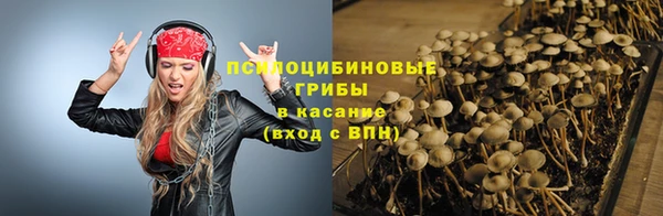 соль ск Пестово